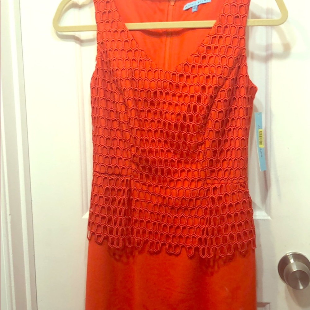 Antonio Melani peplum dress with modern lace